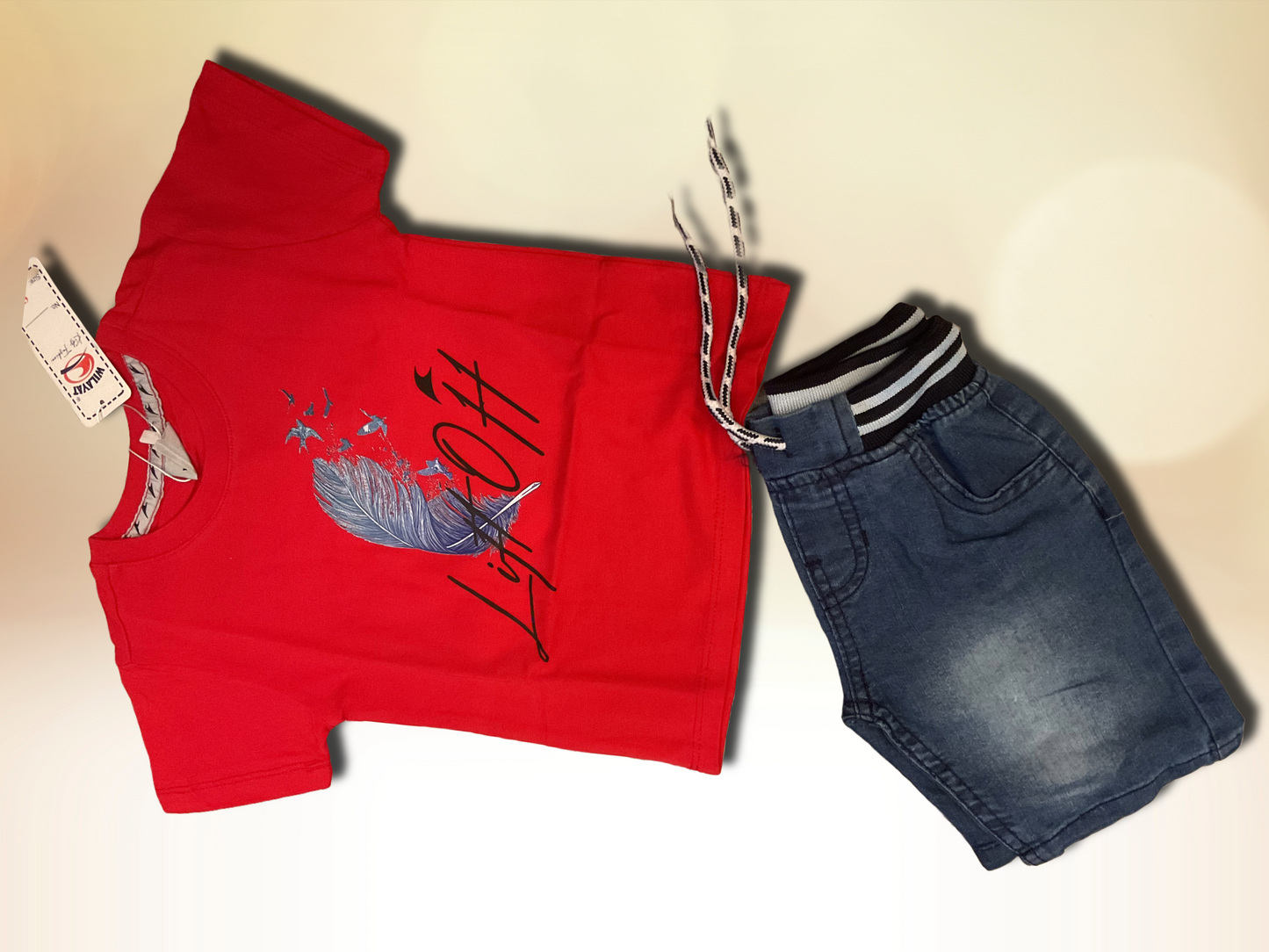 Boys’ Casual T-Shirt & Denim Shorts Set
